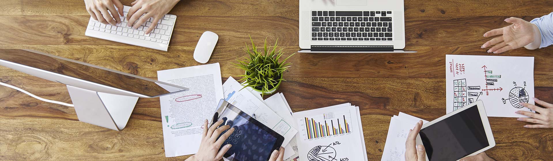 Développeur web et web mobile